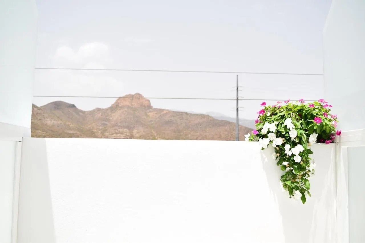 Gasthof Hostel Neon Tenerife Guaza Spanien